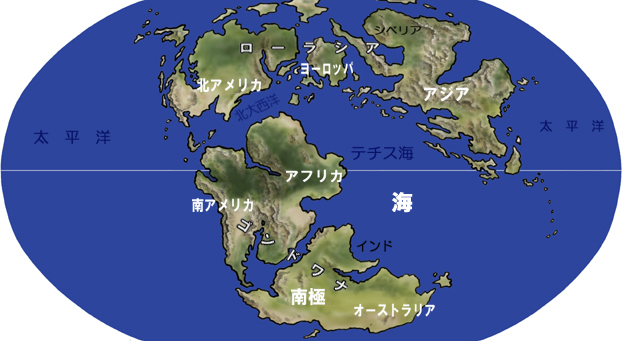 鵪